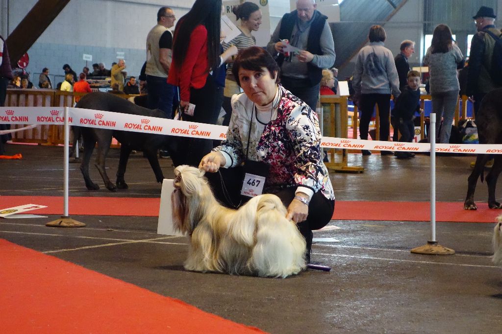 Joyce des pommiers du pays d othe - Excellent 3ème. Classe Ouverte Femelles.