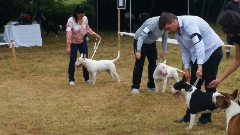 Rowenagain Harpocrate