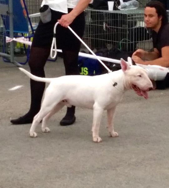 Rowenagain Harpocrate