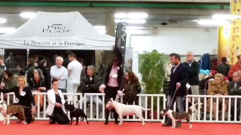 Rowenagain Harpocrate