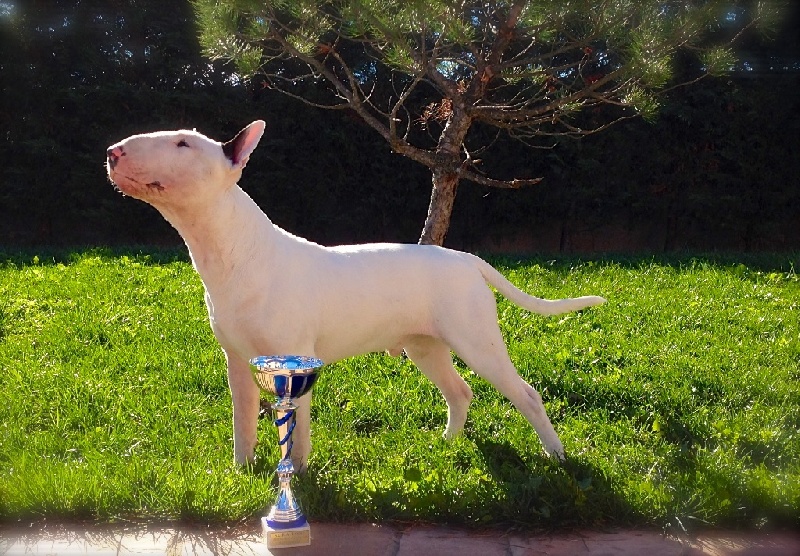 Rowenagain Harpocrate