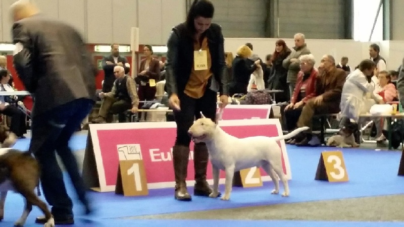 Rowenagain Harpocrate