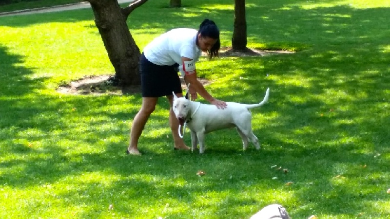 Rowenagain Harpocrate