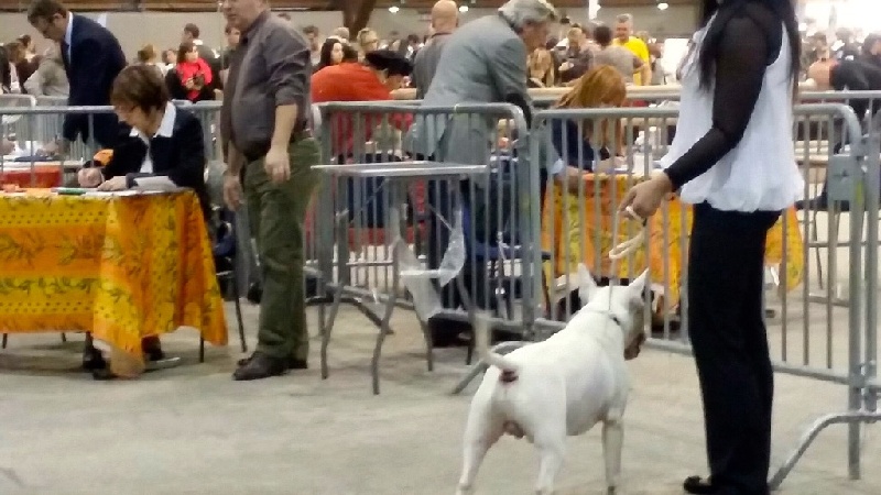 Rowenagain Harpocrate