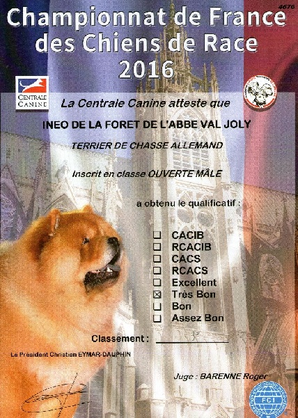 Inéo De La Forêt De L' Abbé-val-joly - Très bon