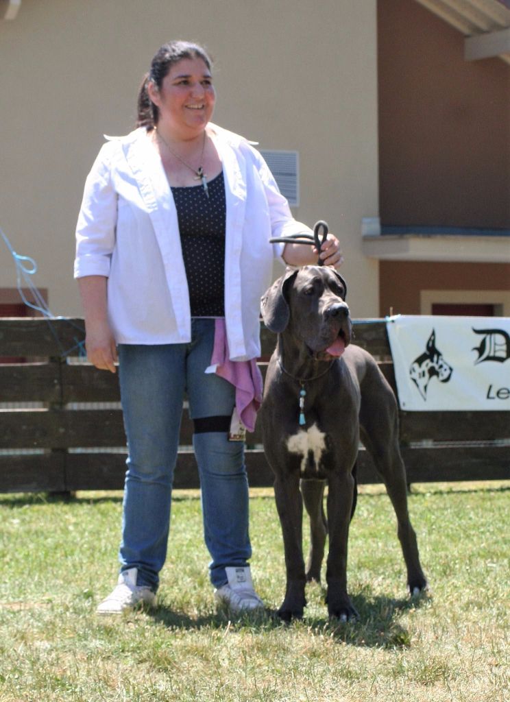 Publication : Des Hobereaux De La Zorn