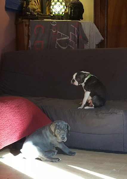 Publication : Des Hobereaux De La Zorn