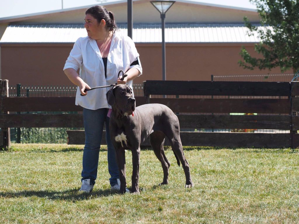 Publication : Des Hobereaux De La Zorn