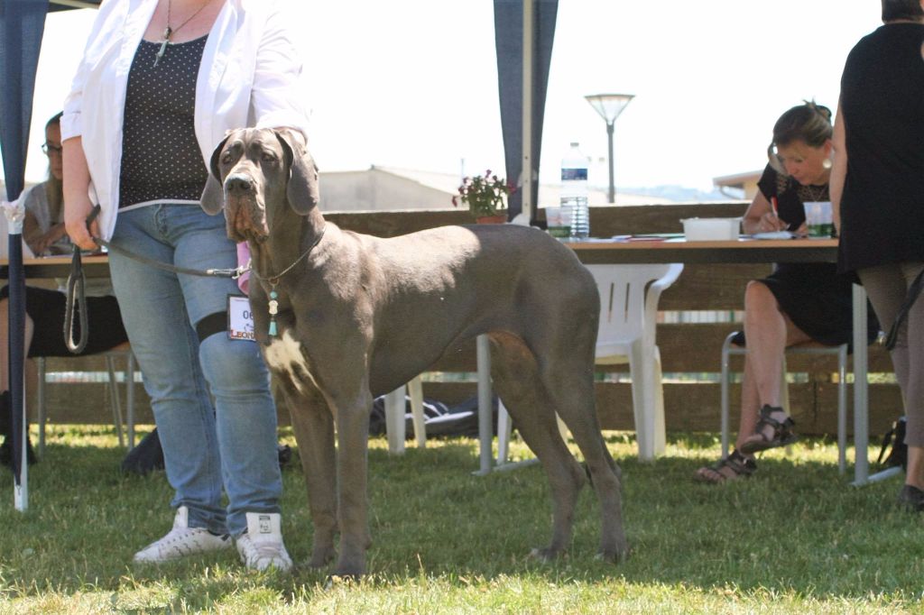 Publication : Des Hobereaux De La Zorn