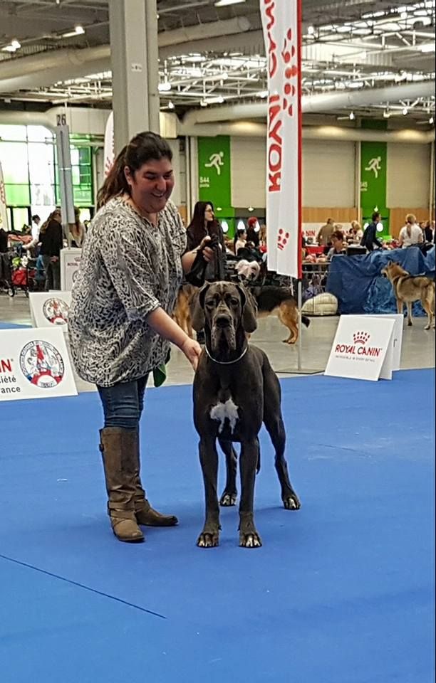 Mikki Des Hobereaux De La Zorn - 1ERE EX CACS