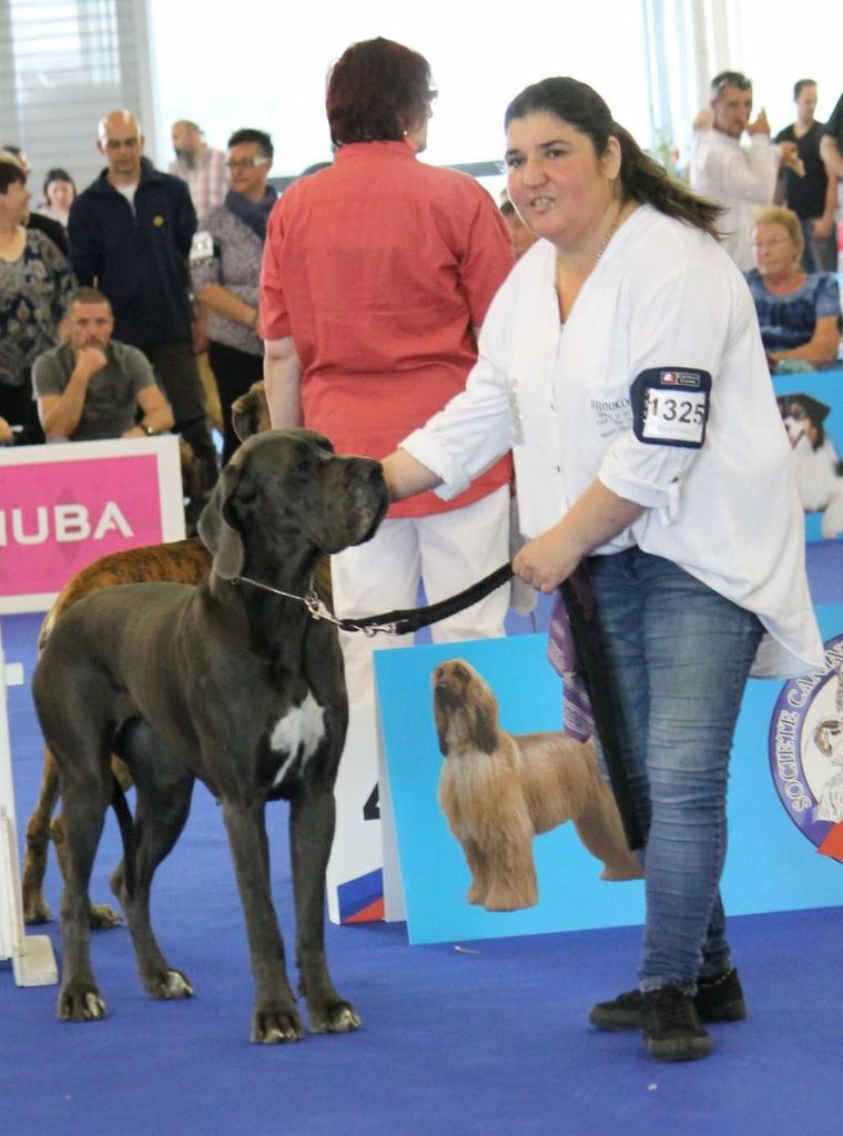 Mikki Des Hobereaux De La Zorn - 4 EME EXC