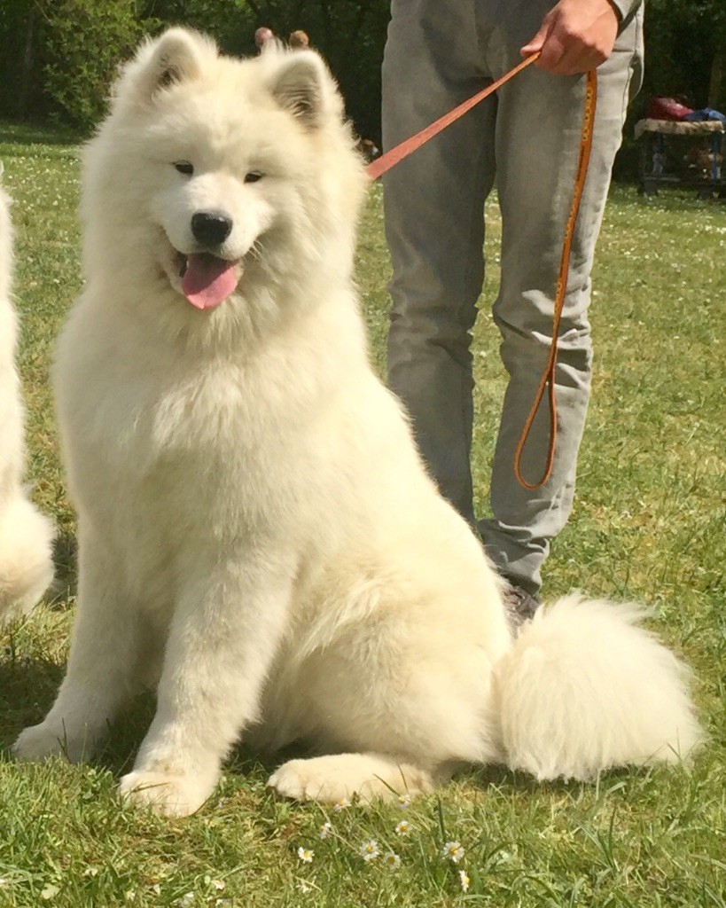 My endless love De sanna gourska - Très prometteur