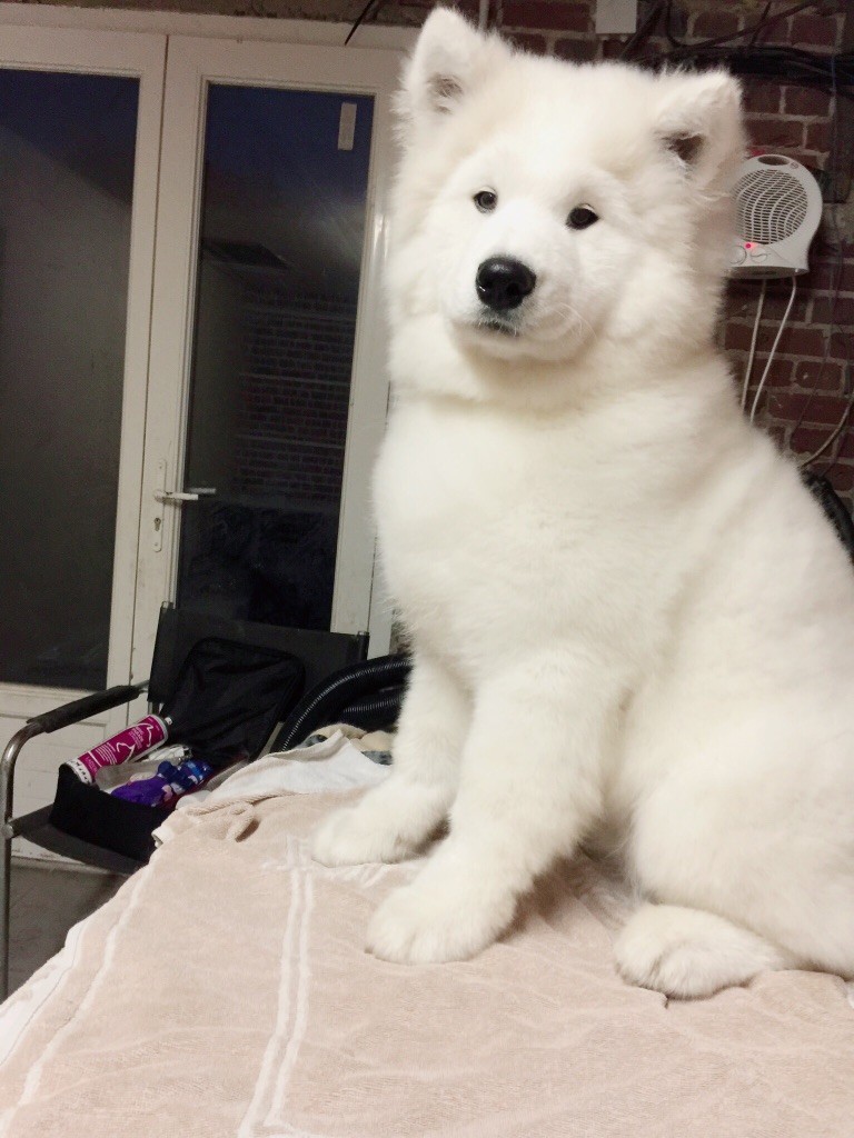 My endless love De sanna gourska - Prometteur