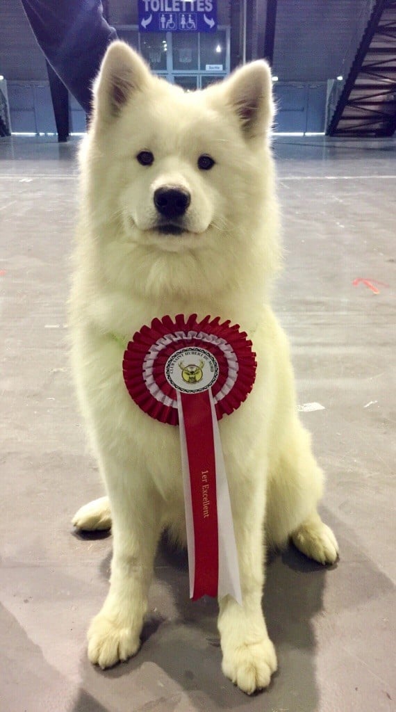 My endless love De sanna gourska - 1er Excellent