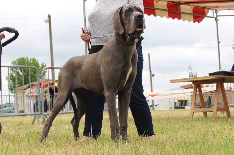 Publication : Du Temple De Scoubidou