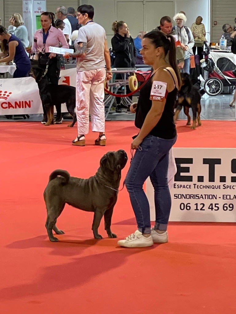 Simone De L'empire Des Plissés - 2eme excellent