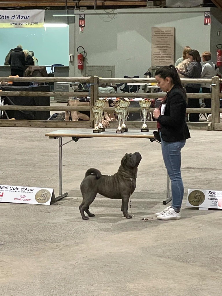 Simone De L'empire Des Plissés - RCACS