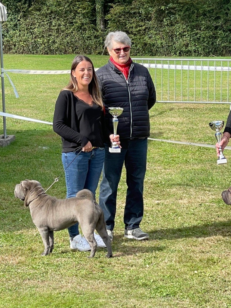 Simone De L'empire Des Plissés - 1ère excellente classe inter