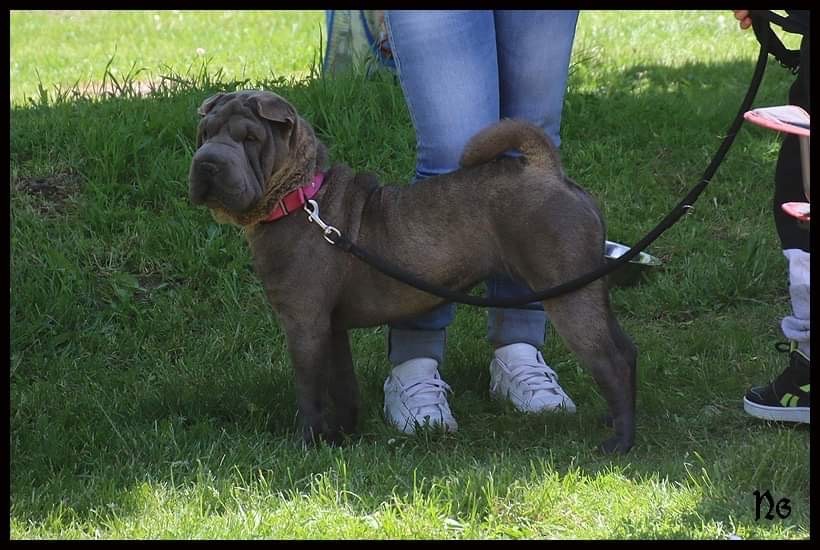 Simone De L'empire Des Plissés - Meilleur jeune