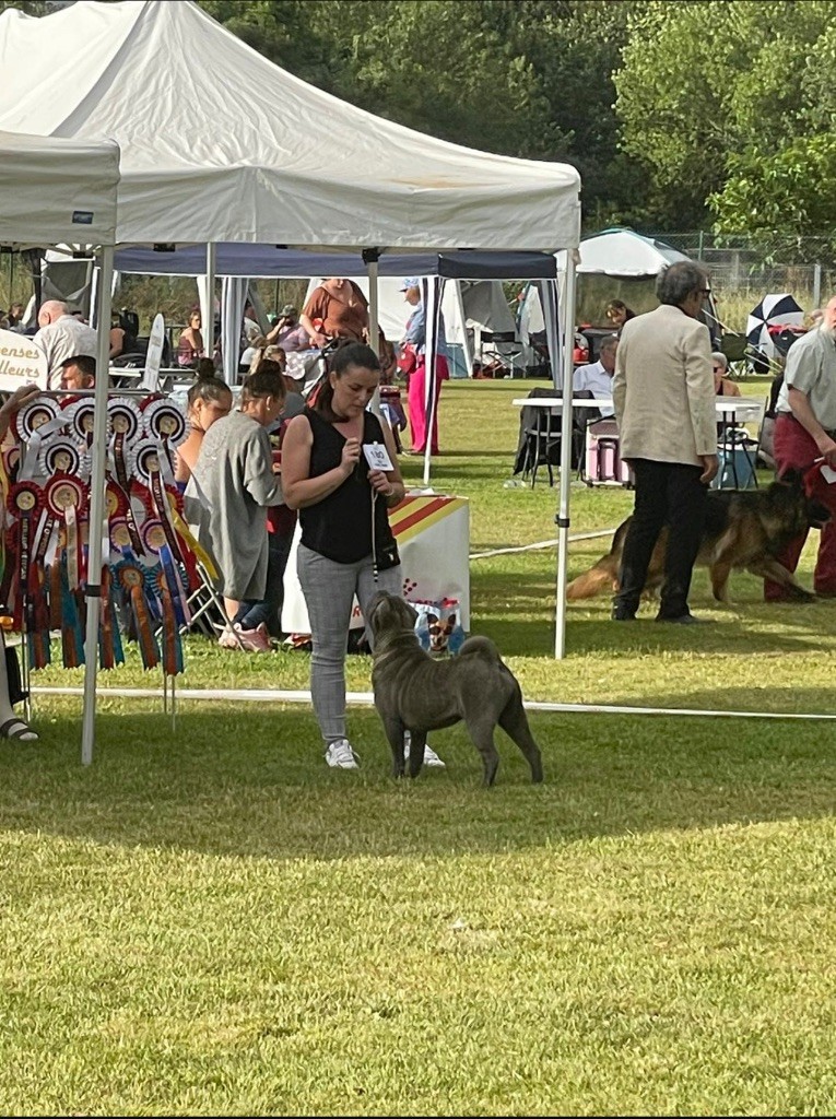 Simone De L'empire Des Plissés - CACS BOB