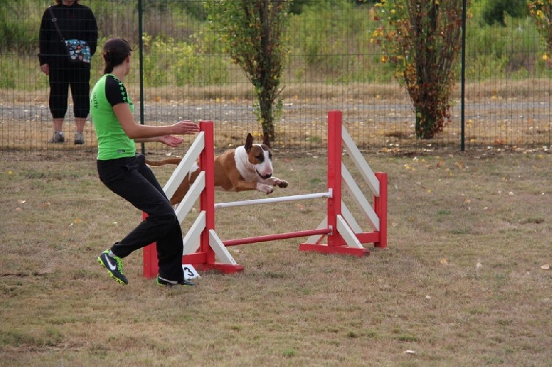 Gaston of Bull's city