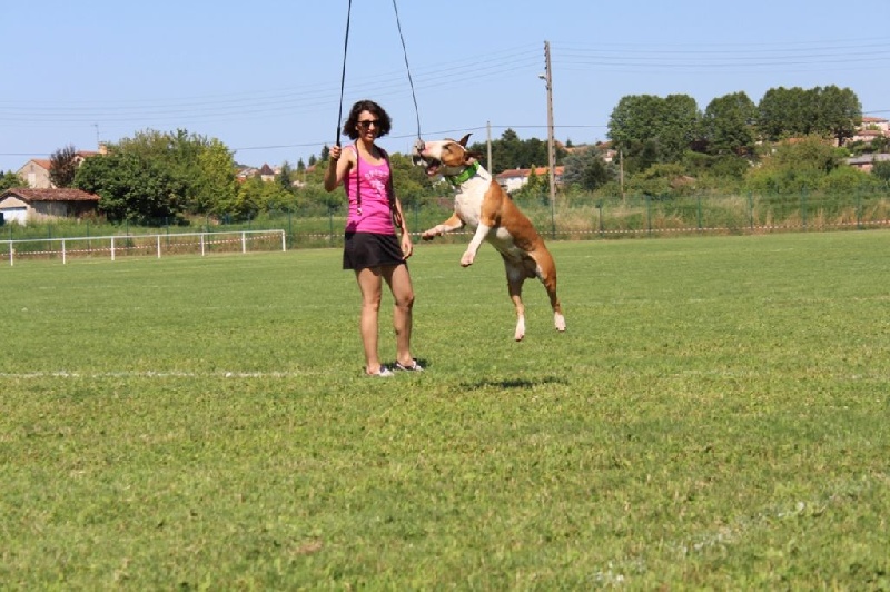 Gaston of Bull's city