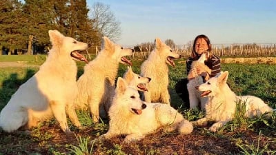 Des Gardiens Du Valhalla