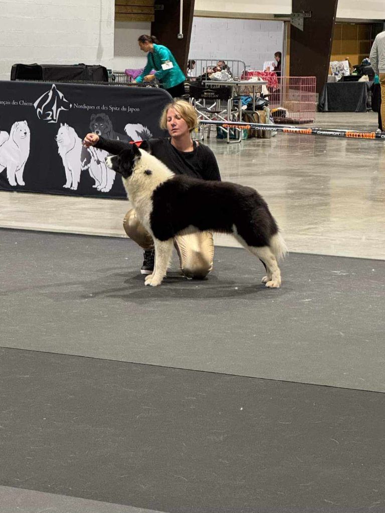 Un-coup-de-coeur-inattendu de l'eden des shokou - Excellent