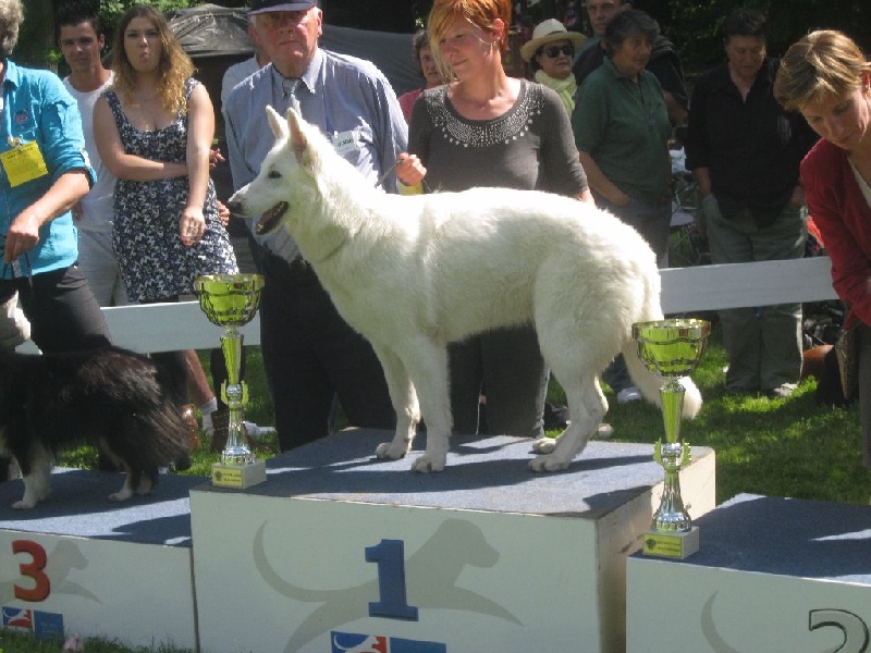 J'nymeria Du Mont De Sène - BOBJ, BOGJ
