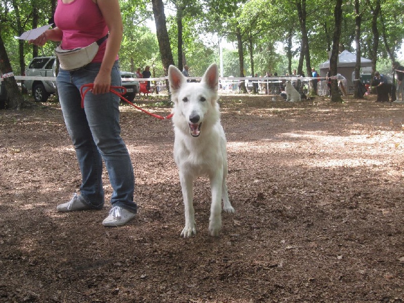 J'nymeria Du Mont De Sène - 1er Très Bon
