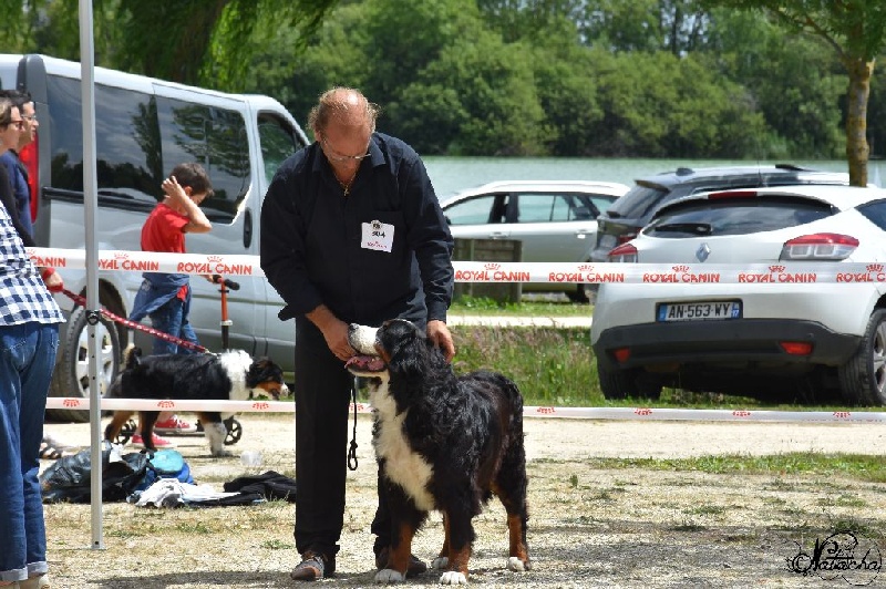 Ippie du clos de la Cigalière - EXCELLENT 2 emes