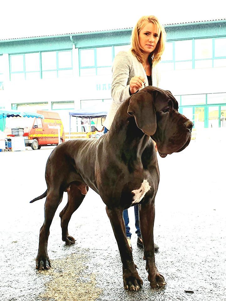 Publication : De Camardoun