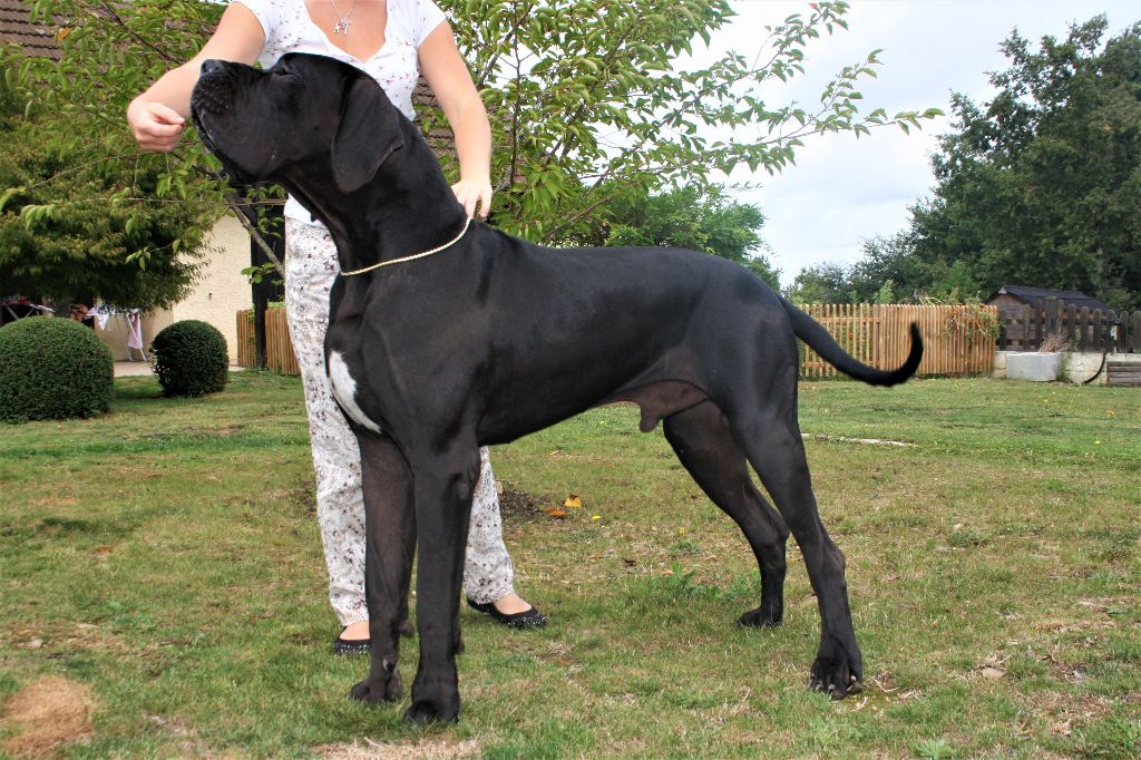 Publication : De Camardoun