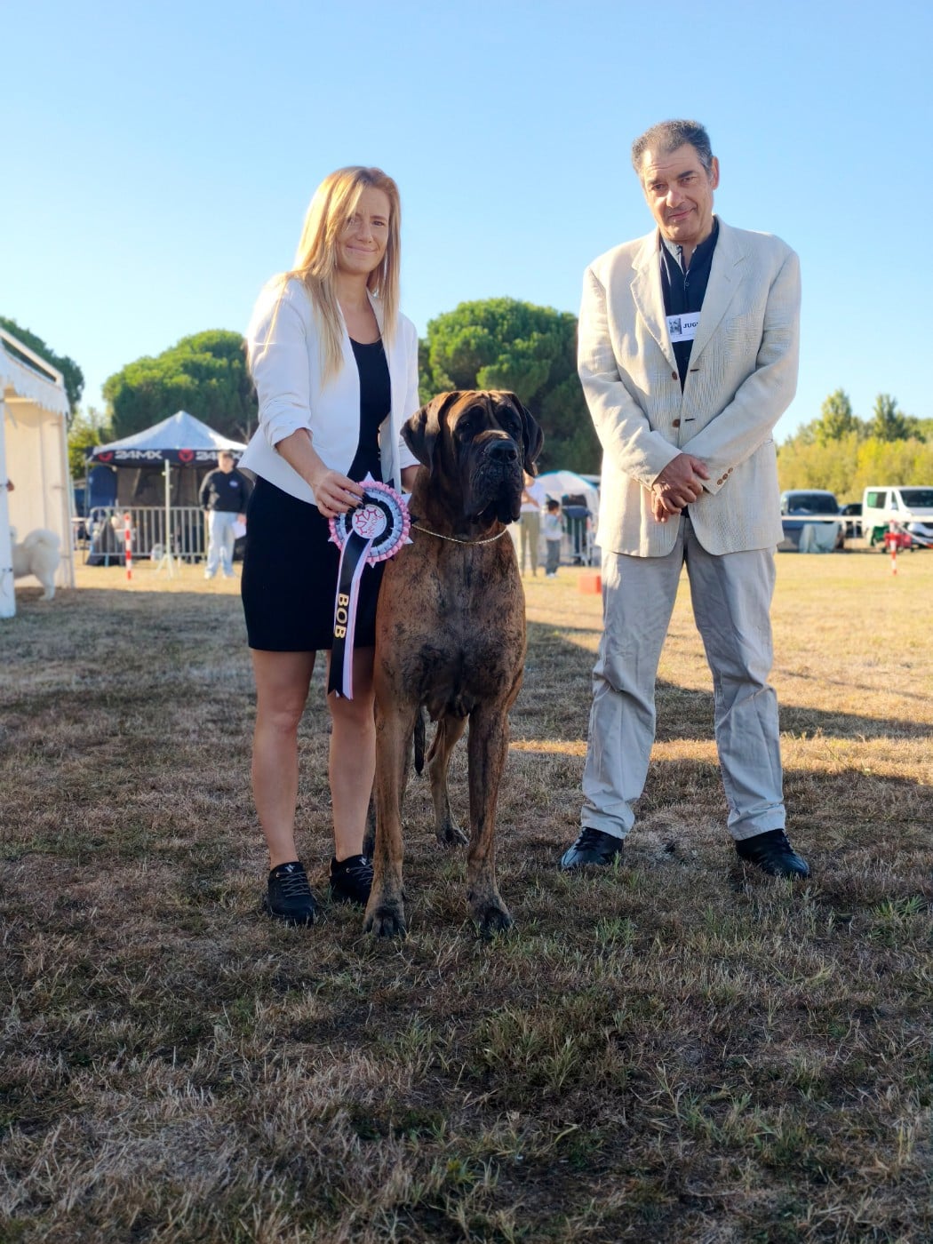 Vinicius De Camardoun - 1er Excellent/ CACS / CACIB / MEILLEUR DE RACE