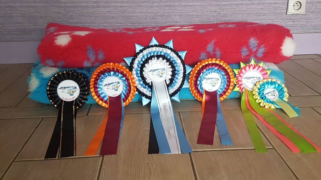 Evelyne via del campo - 1er exc / Meilleure jeune