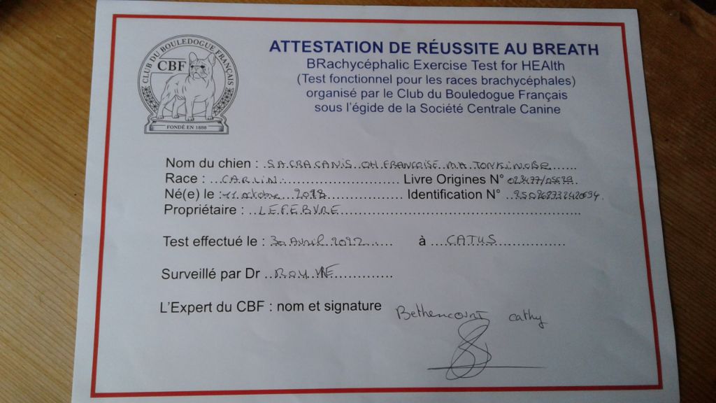 Sacracanis Oh francoise ma tonkinoise - BREATH 1