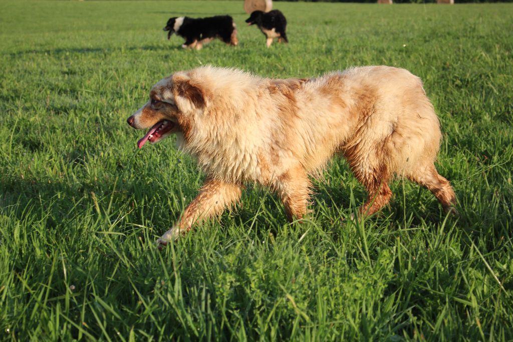 Publication : La Team D'élusa