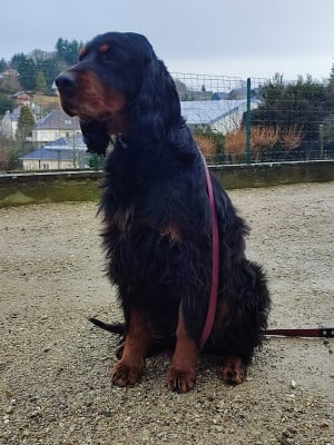 De La Source De Mary