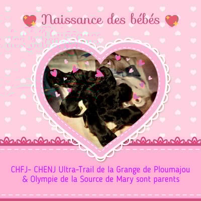 De La Source De Mary