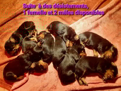 De La Source De Mary