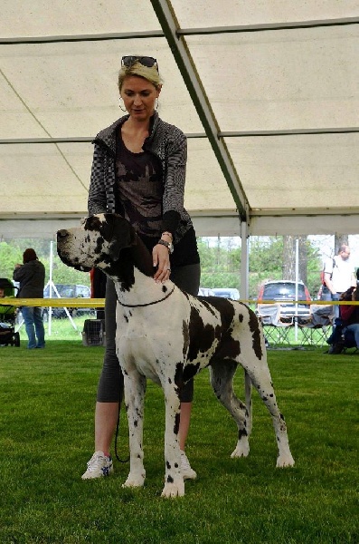 Publication : claudia bohemica Auteur : Marika Cibulkova