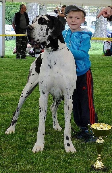 Publication : claudia bohemica Auteur : Marika Cibulkova