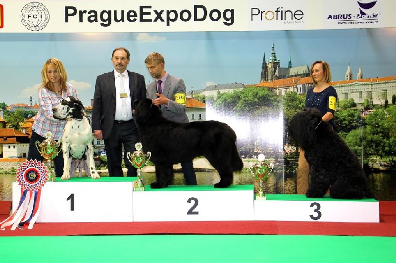 Publication : claudia bohemica Auteur : Marika Cibulkova