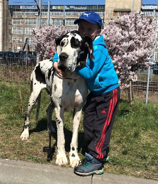 Publication : claudia bohemica Auteur : Marika Cibulkova