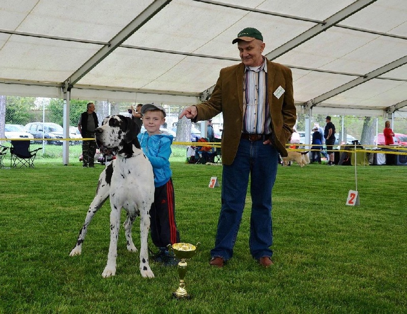 CH. Panamera claudia bohemica - Exc +, CAC,Winner Special Club show, BOB