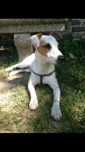 Publication : D'Amour Et D'Eau Fraiche