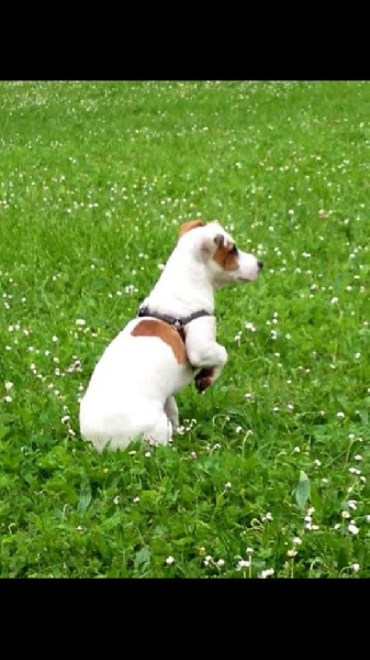 Publication : D'Amour Et D'Eau Fraiche