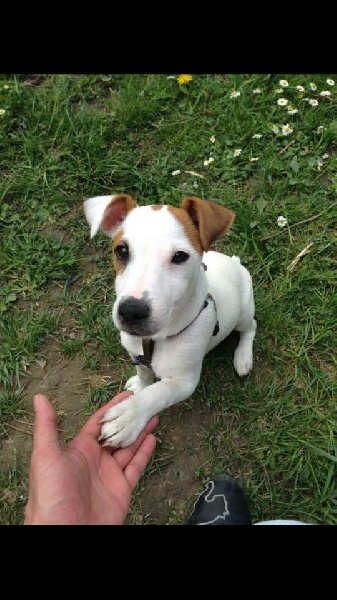 Publication : D'Amour Et D'Eau Fraiche