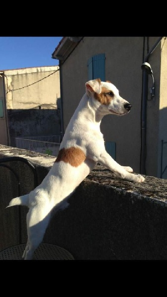 Publication : D'Amour Et D'Eau Fraiche