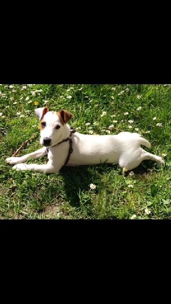 Publication : D'Amour Et D'Eau Fraiche